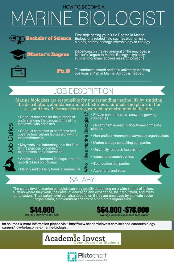 How To Become A Marine Biologist | Academic Invest